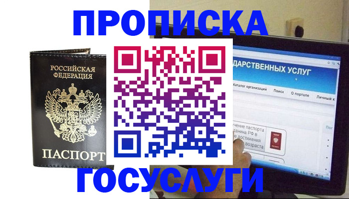 прописка гарантия в Камбарке